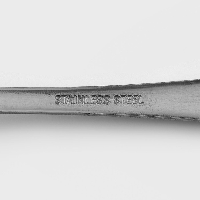 Ложка столовая из нержавеющей стали Доляна &laquo;Моджо&raquo;, длина 18,9 см, толщина 1,8 мм