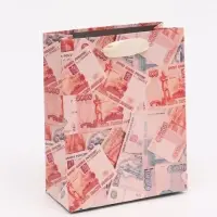 Пакет подарочный &laquo;Деньги&raquo;, S 12 &times; 15 &times; 5,5 см