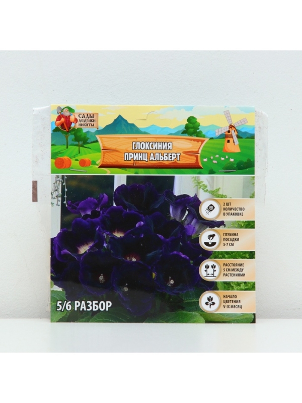 Глоксиния &laquo;Принц Альберт&raquo;, многолетник, комнатный, луковица в пакете с перфорацией, р-р 5/6, 2 шт.