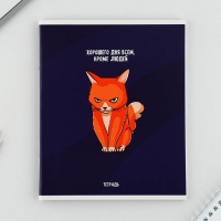 Тетрадь в клетку, 48 листов А5 на скрепке МИКС &laquo;1 сентября: Котики&raquo;, обложка мелованный картон 230 гр внутренний блок №1, белизна 96%