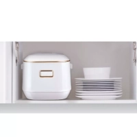 Мультиварка RK601132 Mini со сферической чашей и 7 режимами