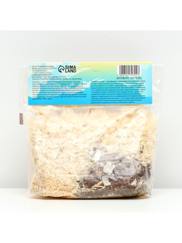 Глоксиния &laquo;Корина&raquo;, многолетник, комнатный, луковица в пакете с перфорацией, р-р 5/6, 2 шт.