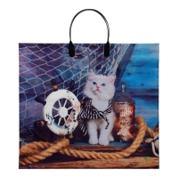 Пакет "Кот", полиэтиленовый с пластиковой ручкой, 38х34 см, 90 мкм Пакет "Кот", полиэтиленовый с пластиковой ручкой, 38х34 см, 90 мкм