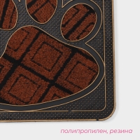 Коврик придверный Доляна &laquo;Лапка&raquo;, цвет МИКС