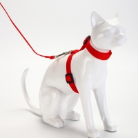 Комплект для кошек, ширина 1,5 см, ОШ 16,5-27 см, ОГ 21-35 см, поводок 120 см, красный