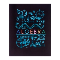 Тетрадь предметная Calligrata "СуперНеон", 48 листов в клетку Алгебра, со справочным материалом, обложка мелованный картон, блок офсет
