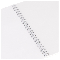 Альбом д/рис А4 48л греб Акварельный мир, обл мел карт, бл офс 100г/м2, МИКС Альбом д/рис А4 48л греб Акварельный мир, обл мел карт, бл офс 100г/м2, МИКС