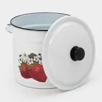 Ведро ц/шт с/кр 10л (белая)СА