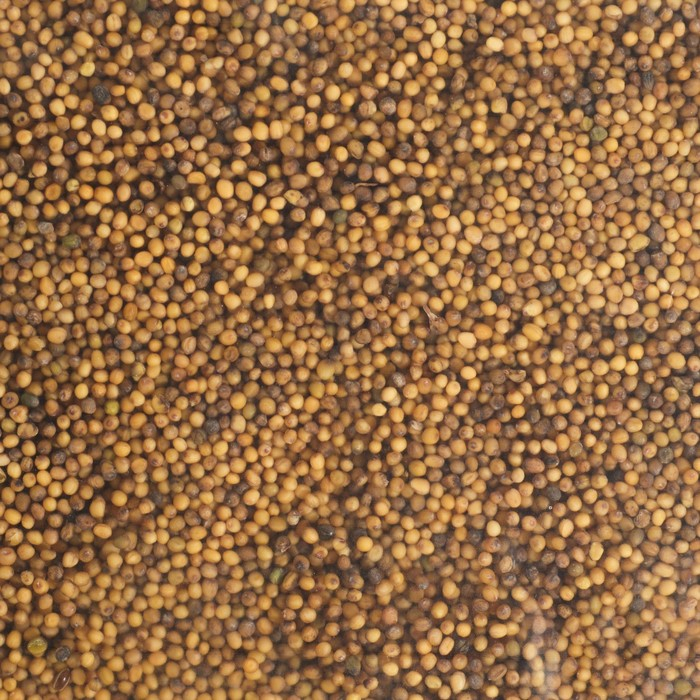 Семена Горчица, Мой Выбор, 3 кг Семена Горчица, Мой Выбор, 3 кг