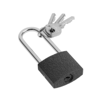 Замок навесной ТУНДРА, основание 30 мм, длинная дужка, 3 ключа, подвес Замок навесной ТУНДРА, основание 30 мм, длинная дужка, 3 ключа, подвес