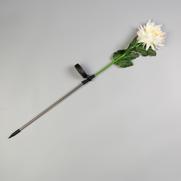 Садовый светильник на солнечной батарее &laquo;Хризантема белая&raquo;, 75 см, 1 LED, свечение белое