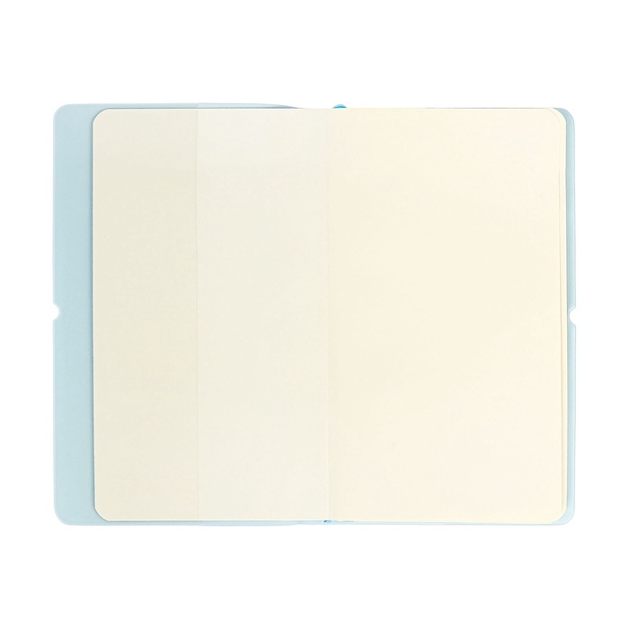 Планинг карманный недатированный, 80 листов, 100х170 мм, deVENTE.Jane, мягкая обложка ПВХ, на резинке, перфорация, ляссе, блок 70%, голубой