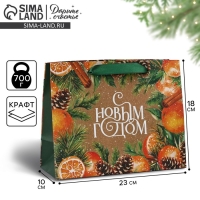 Пакет подарочный новогодний крафтовый вертикальный «С Новым годом», мандарины, MS 18 х 23 х 10 см , Новый год Пакет подарочный новогодний крафтовый вертикальный «С Новым годом», мандарины, MS 18 х 23 х 10 см , Новый год