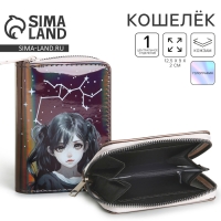 Кошелек детский с голографическим эффектом "Девочка-созвездие", 12*2*9,5см Кошелек детский с голографическим эффектом "Девочка-созвездие", 12*2*9,5см