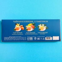 Чай подарочный &laquo;Паспорт&raquo; 3 вкуса, 12 пакетиков x 1,8 г.