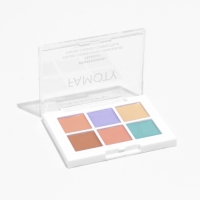 Палетка консилеров Hidden Treasure, 6 оттенков Палетка консилеров Hidden Treasure, 6 оттенков