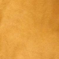 Пергамент флористический "Золотой" двухсторонний, 0,6 х 10 м, 45 г/м2 Пергамент флористический "Золотой" двухсторонний, 0,6 х 10 м, 45 г/м2