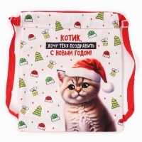 Сумка детская &laquo;Котик в шапке&raquo;, 35 &times; 30 см, новогодняя