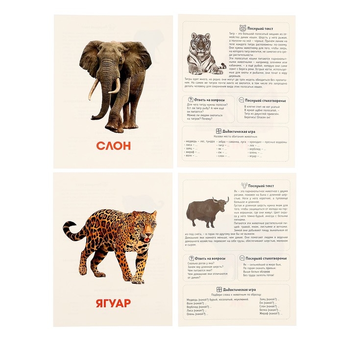 Обучающие карточки &laquo;Дикие животные&raquo;