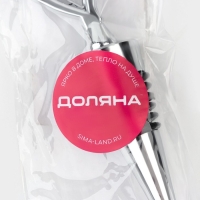 Пробка для бутылки Доляна &laquo;Двойное сердце&raquo;, 11,5 см, цвет серебристый