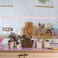 Фитосветильник светодиодный Uniel, 14 Вт, 872 мм, IP20, 220 В, полноспектральный, с выкл. Фитосветильник светодиодный Uniel, 14 Вт, 872 мм, IP20, 220 В, полноспектральный, с выкл.