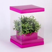 Коробка для цветов с вазой и PVC окнами складная, 16 х 23 х 16 см, однотонный, лаванда Коробка для цветов с вазой и PVC окнами складная, 16 х 23 х 16 см, однотонный, лаванда