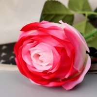 Цветы искусственные "Роза леди каскад, с шипами" 57х8 см, бело-розовый