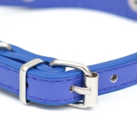 Ошейник-селедка со щенком, 29-32 х 2,5 см, искусственная кожа, синий Ошейник-селедка со щенком, 29-32 х 2,5 см, искусственная кожа, синий
