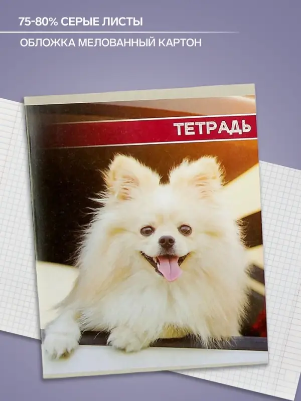 Тетрадь 48 листов в клетку Calligrata &laquo;Собачьи мордочки&raquo;, обложка мелованный картон, блок №2, белизна 75% (серые листы), МИКС