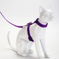 Комплект для кошек, ширина 1,5 см, ОШ 16,5-27 см, ОГ 21-35 см, поводок 120 см, фиолетовый