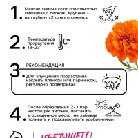 Семена цветов Бархатцы отклонённые "Мандарин", махровые, 0,3 г