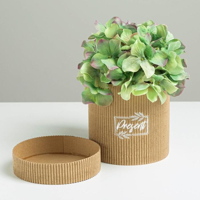 Коробка подарочная шляпная из микрогофры, упаковка, «Present», 12 х 12 см Коробка подарочная шляпная из микрогофры, упаковка, «Present», 12 х 12 см