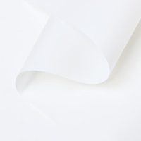 Пленка для цветов "Люкс", матовая, белая, 0,6 х 10 м, 200 г, 40 мкм