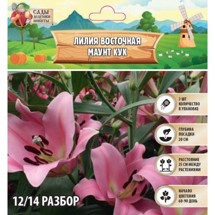 Лилия Восточная Лилия Восточная "Маунт Кук", р-р 12/14, 3 шт,