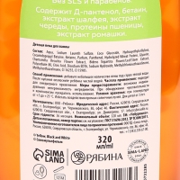 Пена для ванны, 320 мл, апельсин, Чебурашка