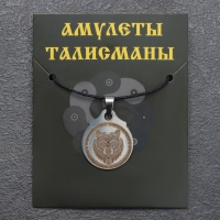 Амулет &laquo;Медведь&raquo;, мед.сталь