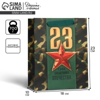 Пакет подарочный ламинированный вертикальный, упаковка, &laquo;С 23 февраля&raquo;, MS 18 х 23 х 10 см