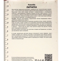 Лапчатка гибридная Монарх Вельвет, р-р I, 1 шт, Весна 2025