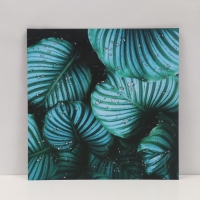 Фотофон двусторонний картон плотность 350 гр "Листья" 50х50 см Фотофон двусторонний картон плотность 350 гр "Листья" 50х50 см