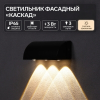 Светильник фасадный &laquo;Каскад&raquo;, FSD-093, 3 Вт, 3000К, 3 луча, IP65, 220 В, металл, черный
