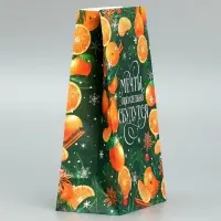 Пакет без ручек &laquo;Мечты обязательно сбудутся&raquo;, мандарины, 10 х 19.5 х 7 см, Новый год