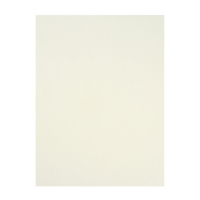 Папка для пастели А3, 297 х 420 мм, 20 листов, тонированная бумага, слоновая кость, ГОЗНАК "Скорлупа", блок 200 г/м&sup2;