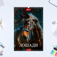 Календарь перекидной на ригеле А3 "Лошади" 2025, 32 х 48 см Календарь перекидной на ригеле А3 "Лошади" 2025, 32 х 48 см