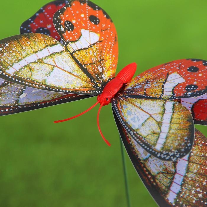 Штекер Штекер "Бабочка Верди" 20х14см/45см, МИКС