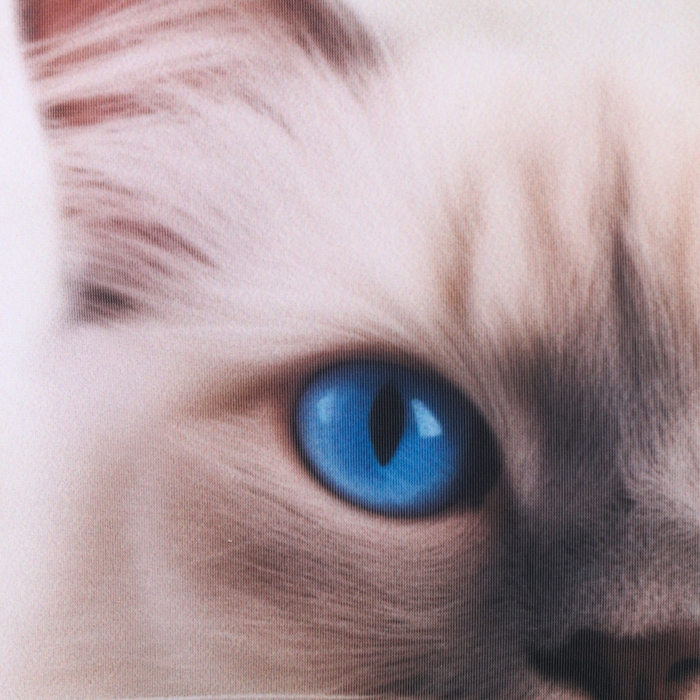 Подушка антистресс, кот "Рэгдолл"