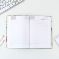 Подарочный набор &laquo;Золотому учителю&raquo;: ежедневник А5, 80 листов, планинг, ручка, блок бумаг