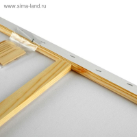 Холст на подрамнике, хлопок 100%, 60 х 80 х 2 см, акриловый грунт, мелкозернистый, 280 г/м&sup2;