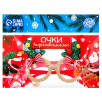 Карнавальные очки &laquo;Новогодние&raquo;, цвета МИКС