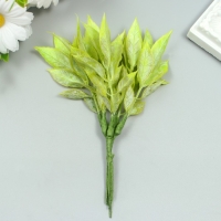 Искусственное растение для творчества "Рукус" 1 букет=6 веточек зелёный 13 см
