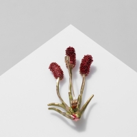 Брошь &laquo;Камыш&raquo;, цвет фиолетово-зелёный в золоте